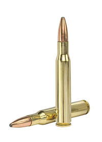 30-06 Springfield cartridge
