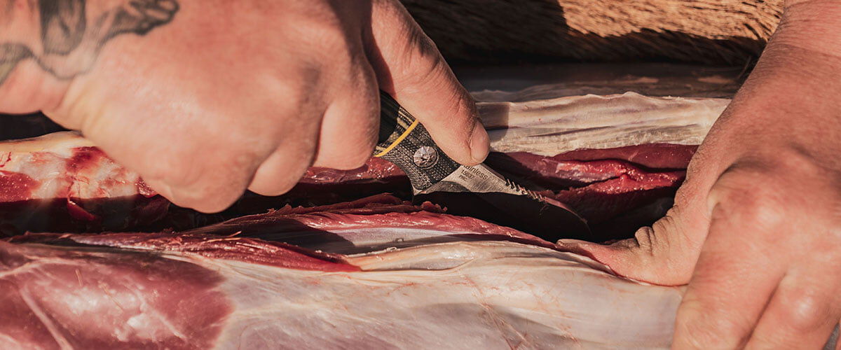 Deer meat being cut