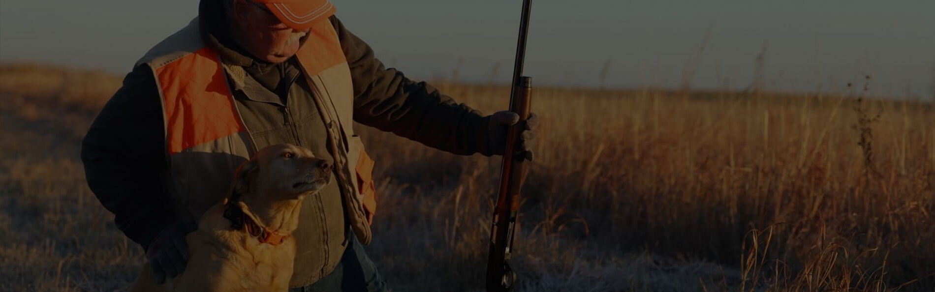 Getting Started With Pheasant Hunting