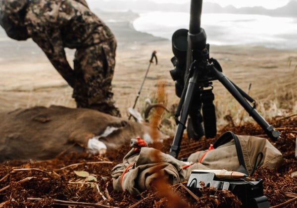 Core-Lokt Tipped on a Blacktail Deer Hunt in Alaska