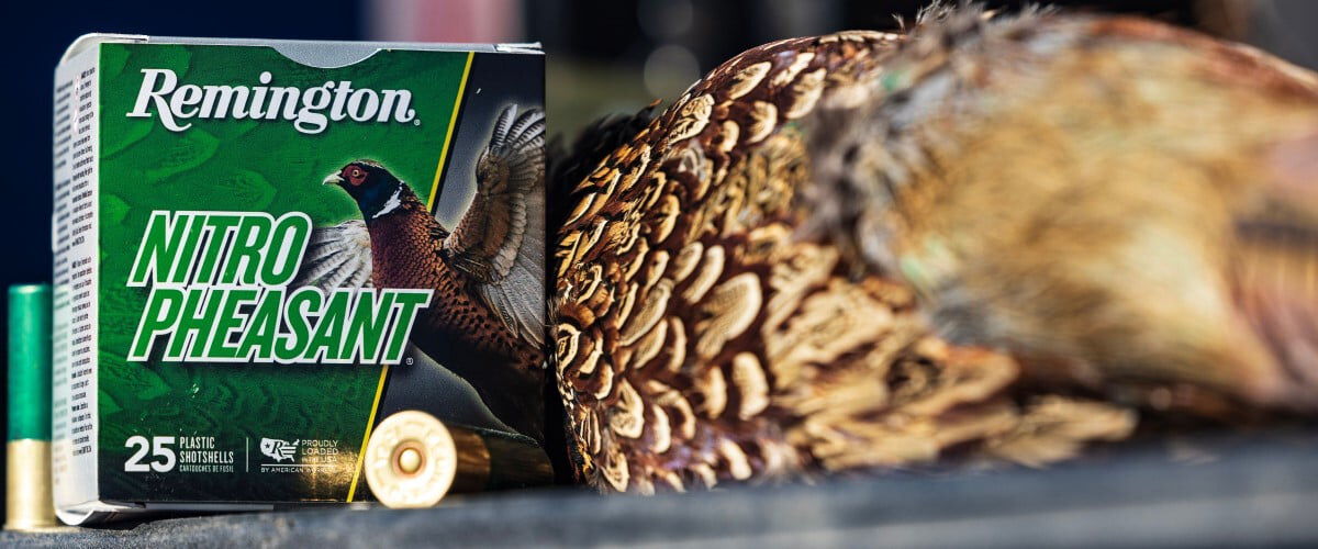 dead pheasant next to a box of Nitro Pheasant