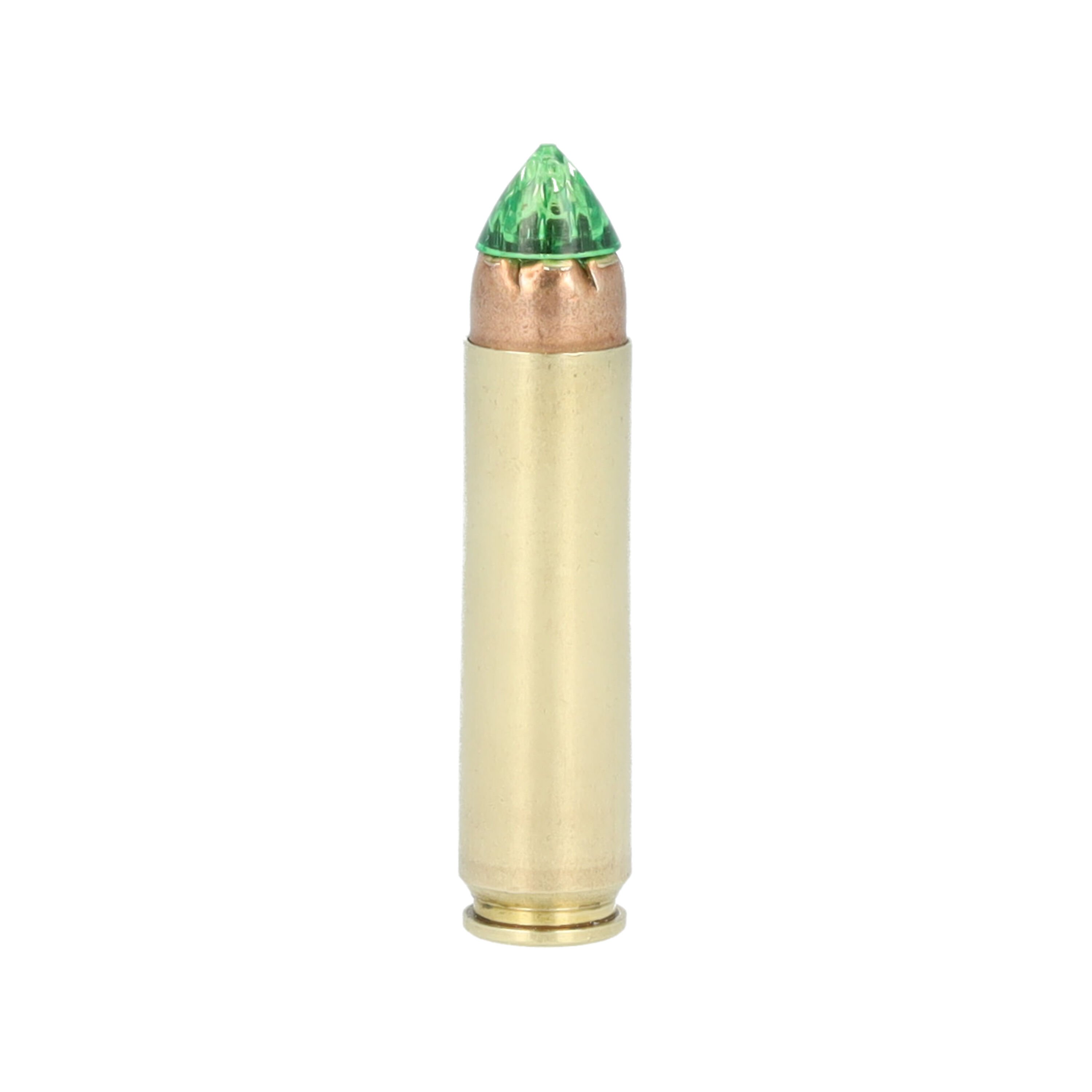 450 Bushmaster cartridge