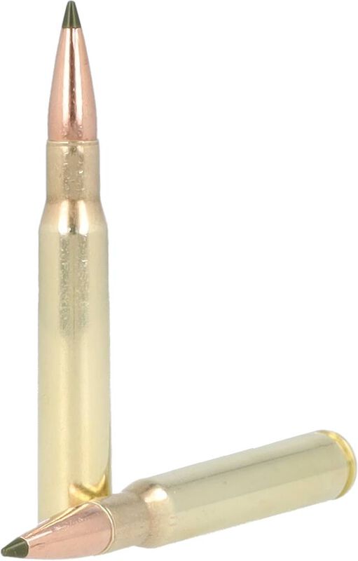 Premier Long Range, 30-06 Springfield, 172 Grain, Speer Impact, 2825 fps