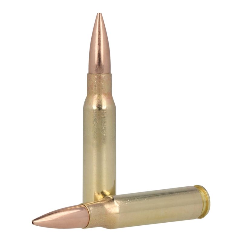 Premier Match, 308 Win, 168 Grain, MatchKing Open Tip Match, 2680 fps