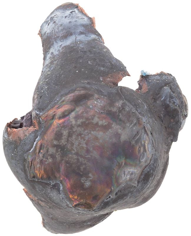 Premier Long Range, 7mm Backcountry, 175 Grain, Speer Impact, 3125 fps