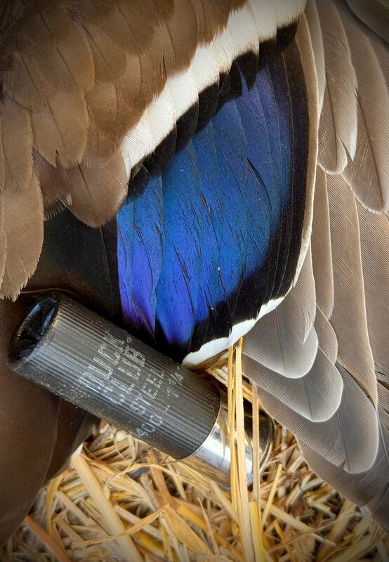 Duck Club Steel, 12 Gauge, 2 Shot, 3 in, 1 1/4 oz, 1400 fps