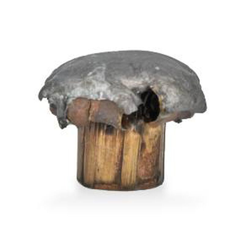 Core-Lokt, 360 Buckhammer, 200 Grain, Soft Point Core Lokt, 2200 fps