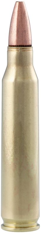 Premier Match, 223 Rem, 62 Grain, Hollow Point Match, 3025 fps