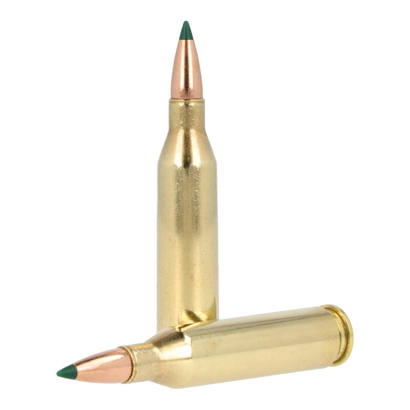 Core-Lokt Tipped, 243 Win, 95 Grain, Core-Lokt Tipped, 3140 fps