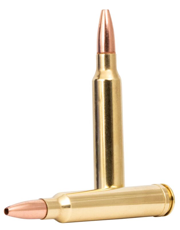 Core-Lokt Copper, 300 Win Mag, 180 Grain, Copper HP, 2850 fps