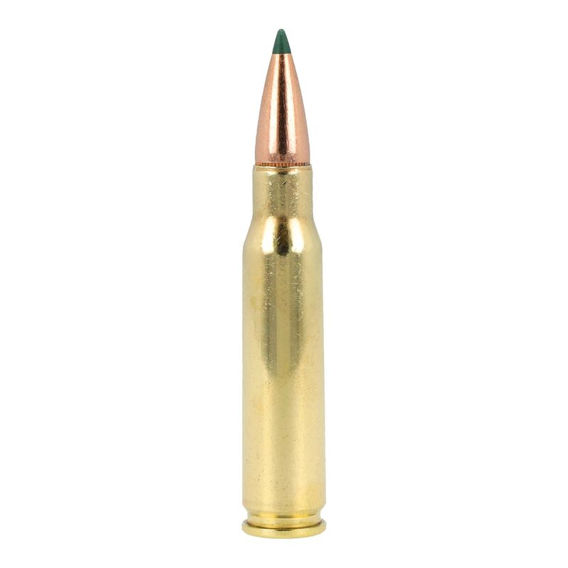 Core-Lokt Tipped, 308 Win, 165 Grain, Core-Lokt Tipped, 2700 fps