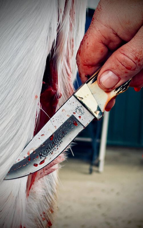 2026 Bullet Knife - King of the Mountain, Fixed Blade