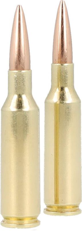 Premier Match, 224 Valkyrie, 90 Grain, MatchKing Open Tip Match, 2700 fps