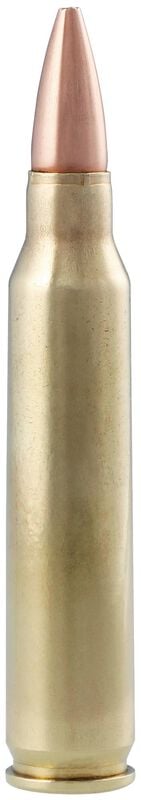 Premier Match, 223 Rem, 77 Grain, MatchKing Open Tip Match, 2790 fps