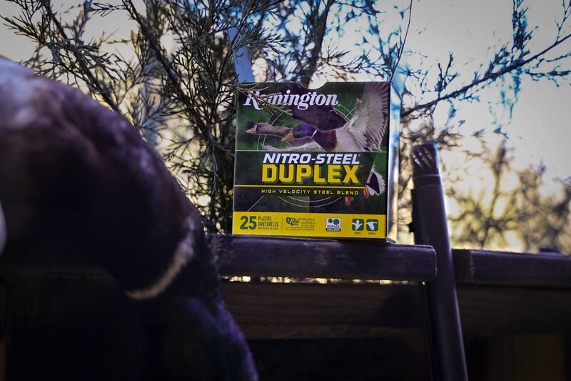 Nitro-Steel Duplex, 12 Gauge, BB and 4 Shot, 3 in, 1 1/4 oz, 1450 fps