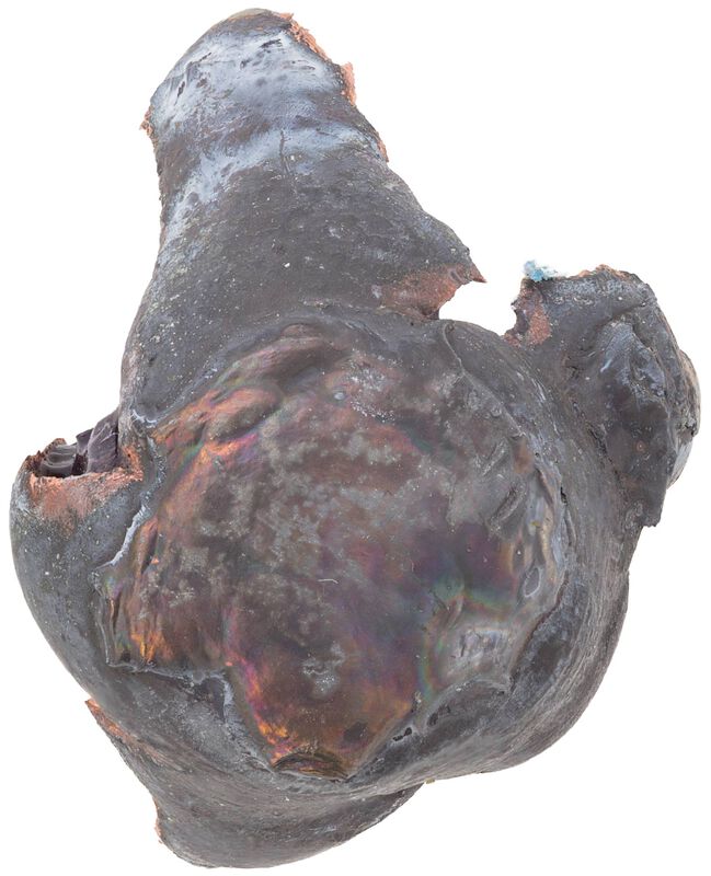 Premier Long Range, 7mm Backcountry, 175 Grain, Speer Impact, 3125 fps