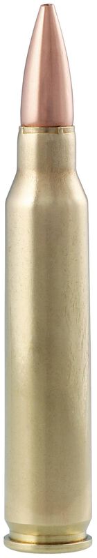 Premier Match, 223 Rem, 69 Grain, MatchKing Open Tip Match, 3000 fps