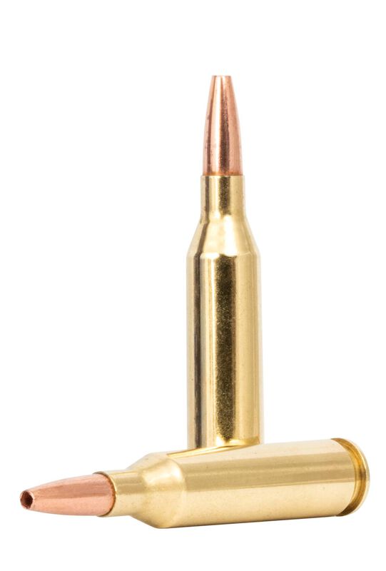 Core-Lokt Copper, 243 Win, 85 Grain, Copper HP, 3200 fps