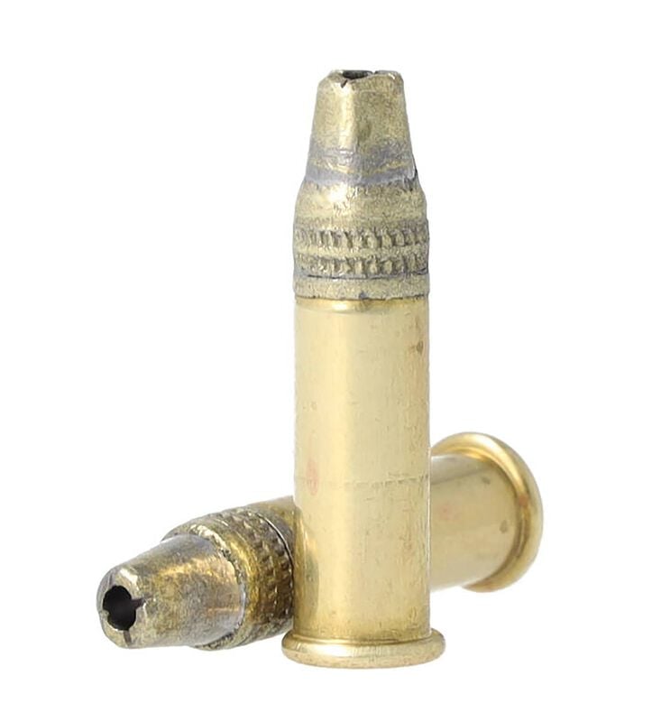 C-BEE 22&reg;, 22 LR, 33 Grain, Plated Truncated Cone Hollow Point, 740 fps