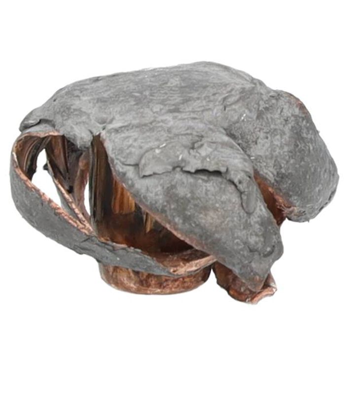 Premier Long Range, 300 Win Mag, 190 Grain, Speer Impact, 2885 fps