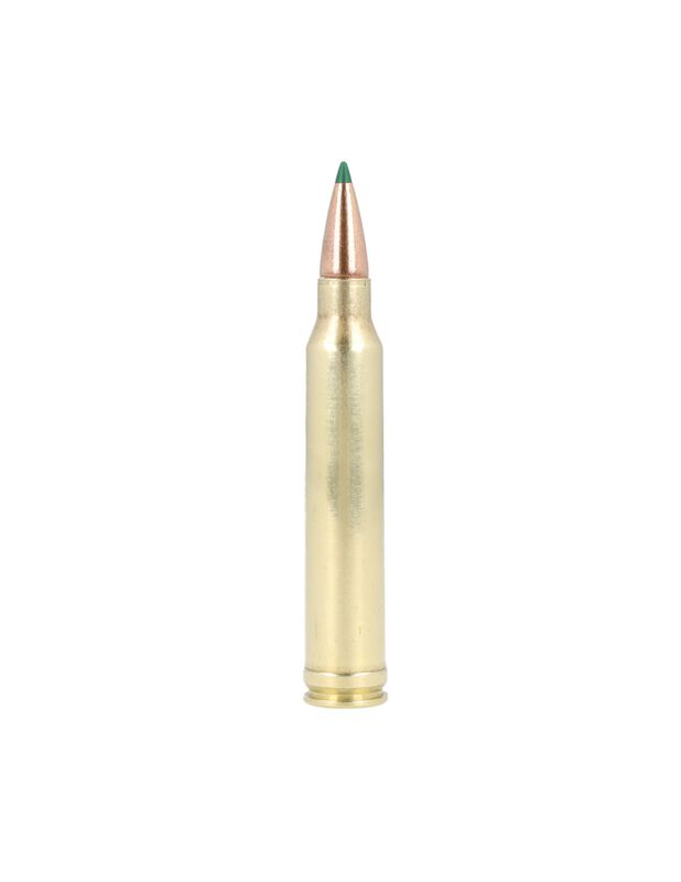 Premier CuT, 300 Win Mag, 180 Grain, Copper Tipped, 2960 fps