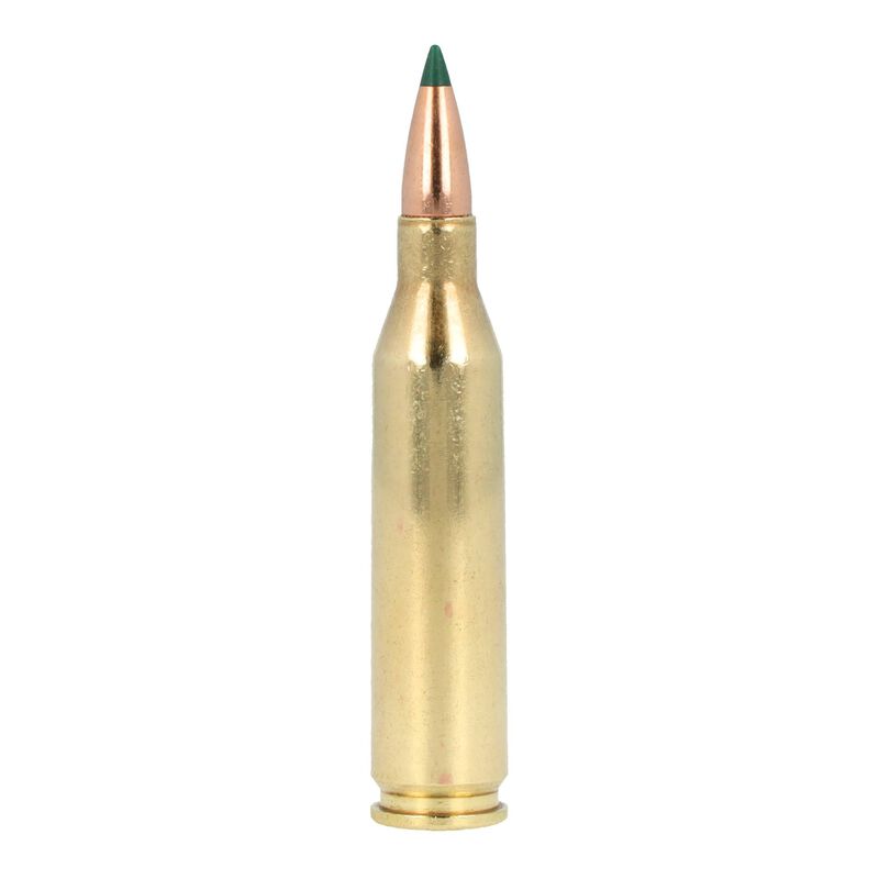 Core-Lokt Tipped, 243 Win, 95 Grain, Core-Lokt Tipped, 3140 fps