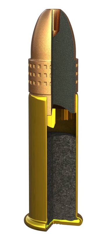 Golden Hunter, 22 LR, 40 Grain, Plated Hollow Point, 1255 fps