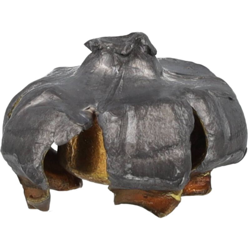 Accutip Muzzleloader Bullet, .50, 260 Grain