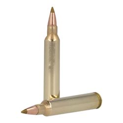 Premier AccuTip-V, 204 Ruger, 32 Grain, AccuTip-V, 4225 fps