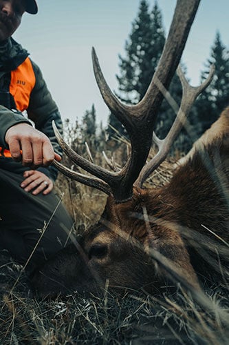 hunter holding antler of downed elk