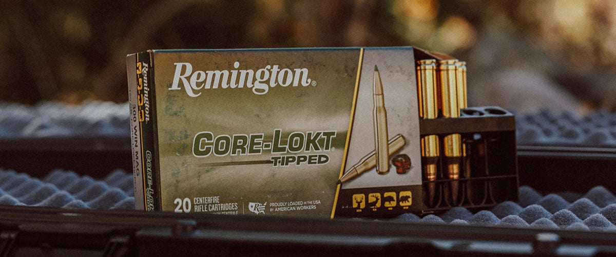 Core-Lokt Tipped box sitting on the inside of a gun case