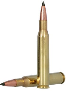 270 win cartridges