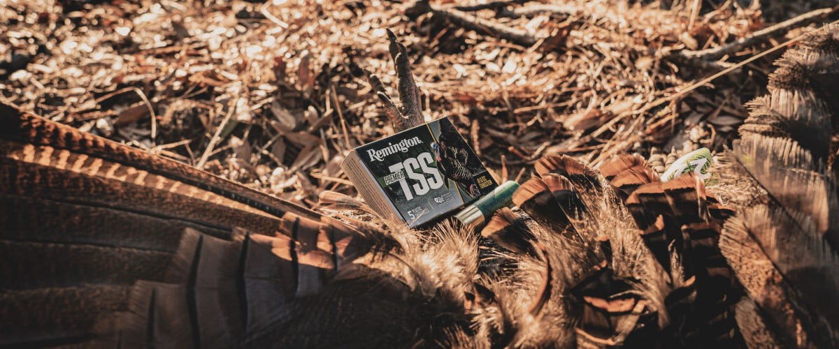 box of Premier TSS and shotshell laying on a turkey