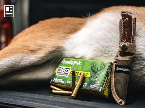 Core-Lokt 360 Buckhammer box and cartridges next to a dead deer and knife