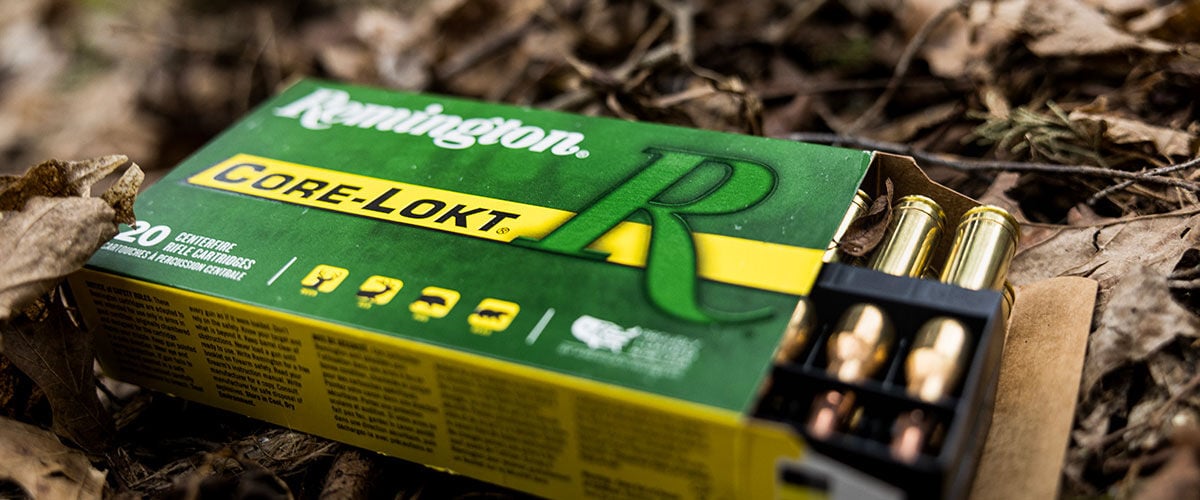 Core-Lokt box in the leaves