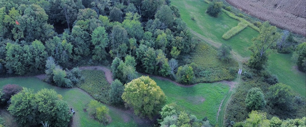 sky view of green grass and trees