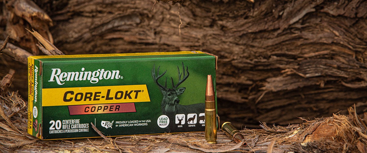 Core-Lokt Copper 300 BLK cartridge and box in front of a tree trunk