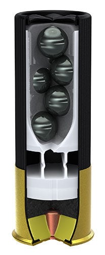 cutaway of a buckshot