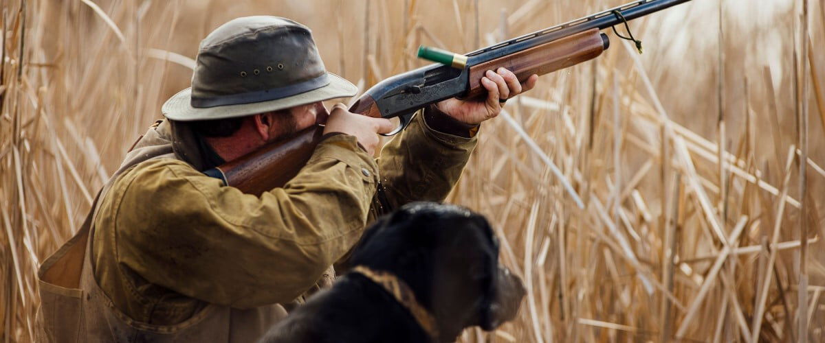 hunter aiming a shotgun in tall grass next to a dog
