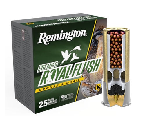Royal Flush box and shotshell cutaway