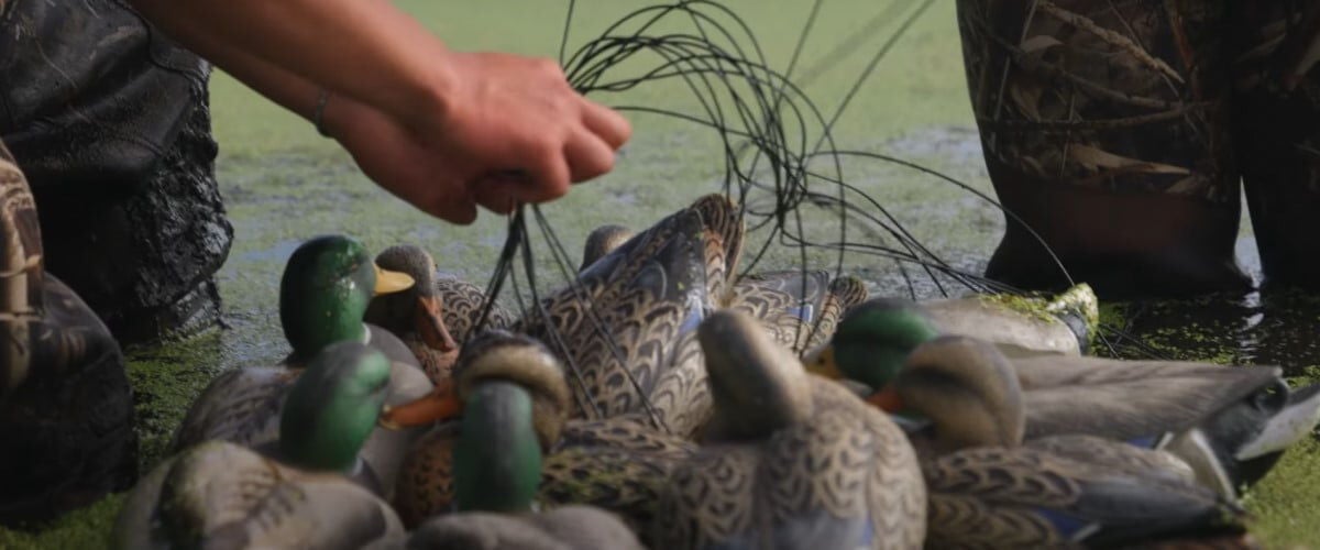 hunter holding the string of a bunch of waterfowl decoys
