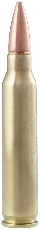 Premier Match, 223 Rem, 69 Grain, MatchKing Open Tip Match, 3000 fps