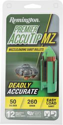 Accutip Muzzleloader Bullet, .50, 260 Grain